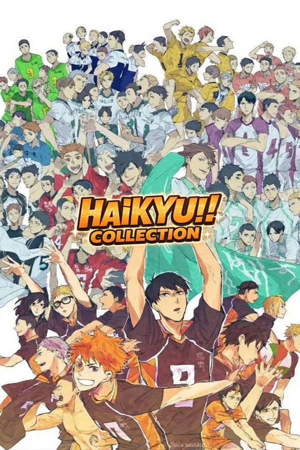Haikyu!! OVA Hindi Dubbed Download - AnimeVZ